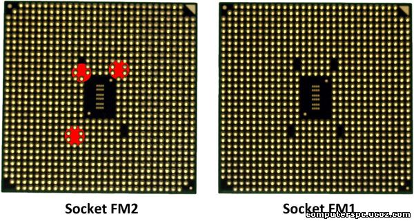 socket fm1 vs fm2